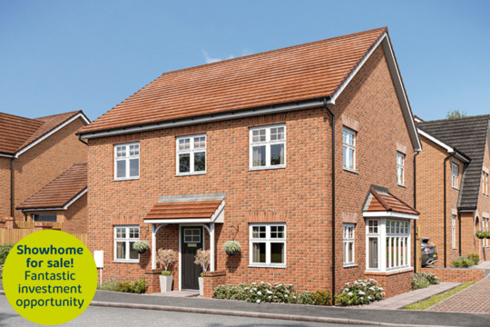 The Briar Plot 5 Show home