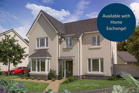 VDSW BH DBID BIRCH HERO PX