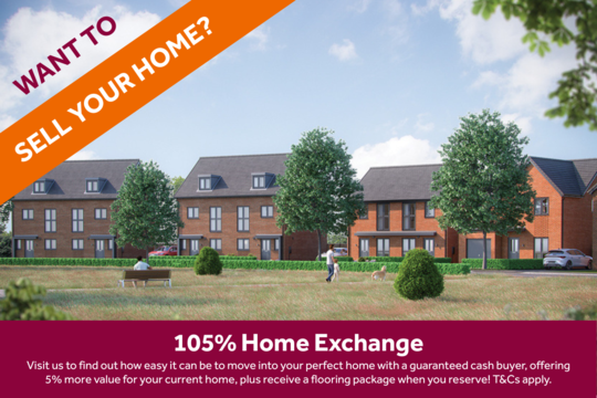 Pleasley View 105% PX