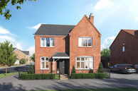 Home 46