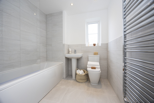 The Skylarks 97 The Wren 17