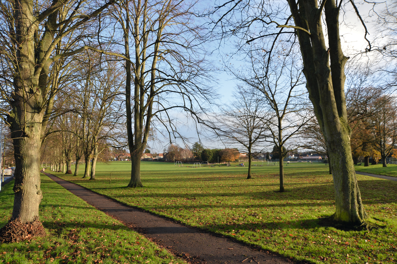 Oak Farm Meadow New Build Homes & Houses for Sale in Stowupland near