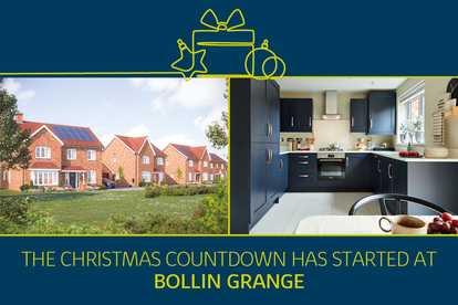 BOLLIN DS14777_[BH][CH][LH]_Countdown-to-xmas_banners_pf1