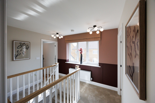 VDSW BH PASTURES CHESTNUT (10)