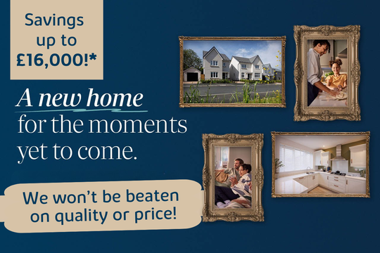 VDSW BH WADE WEB CAROUSEL