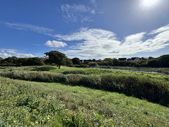 bexhill country park