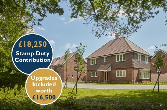 Home 16 - The Evergreen - Orchard Park