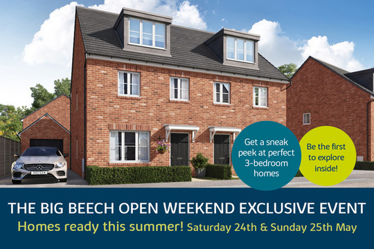 205967 The Big Beech Launch Web Hero 1280x853px-V4