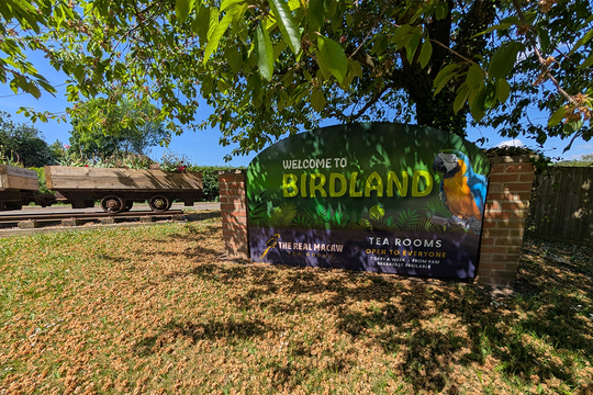 CH-SEM-EC-Tropical birdland desford 2