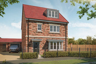 Home 6