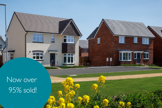 VDSW CH IGROVE HERO (1)