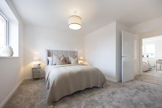 The Skylarks 97 The Wren 22