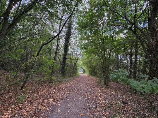 Bestwood Park