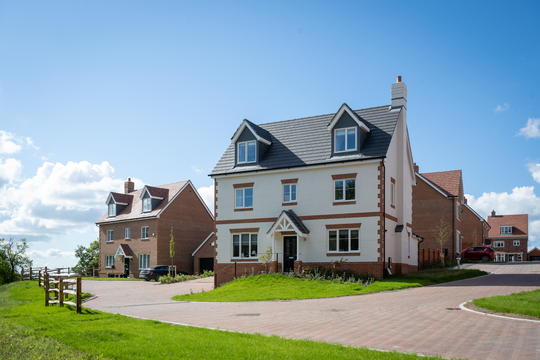 MH_Bovis_Sept2022-008