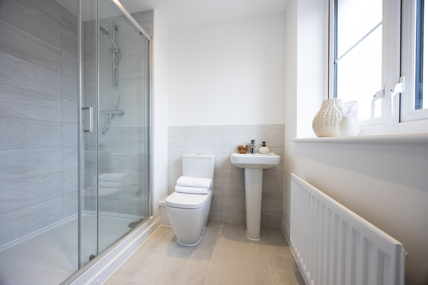 The Skylarks 97 The Wren 15