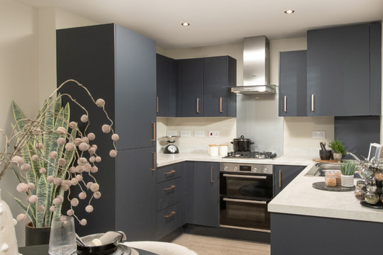 VDSW LH WADE EMLSLIE SL KITCHEN