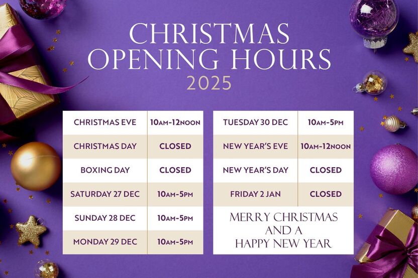 DS15202 Bristol Christmas opening times 2025