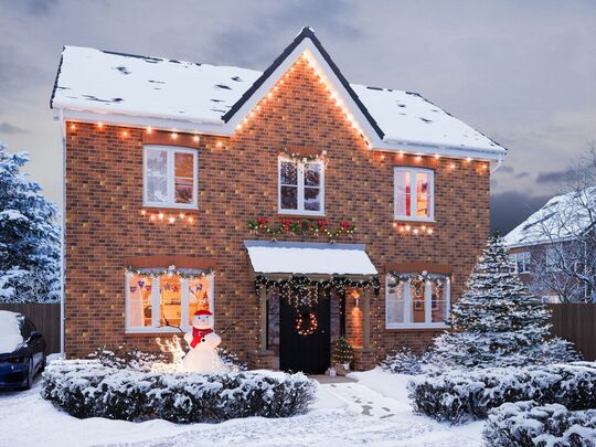 NREDH_WINTER_PLOT212_CHESTNUT_001