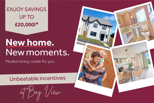 VDSW LH BVIEW WEB CAROUSEL