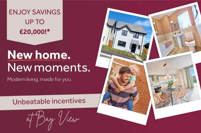 VDSW LH BVIEW WEB CAROUSEL