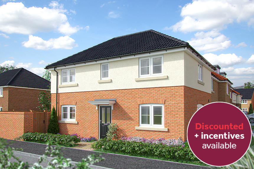 The Sunflower - Summerville Meadows