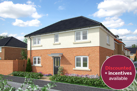 The Sunflower - Summerville Meadows