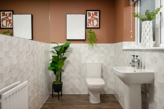 025 VistryNE_Linden_WhitworthChase_Sunflower