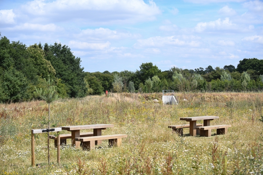 Kingsgrove open space