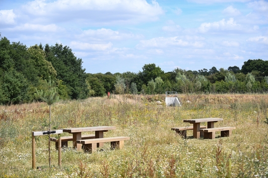 Kingsgrove open space