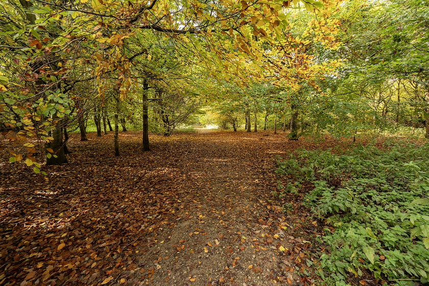 south_marston_13_web