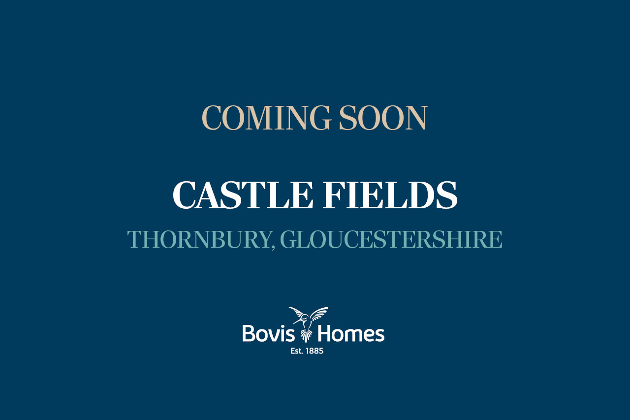 Castle Fields