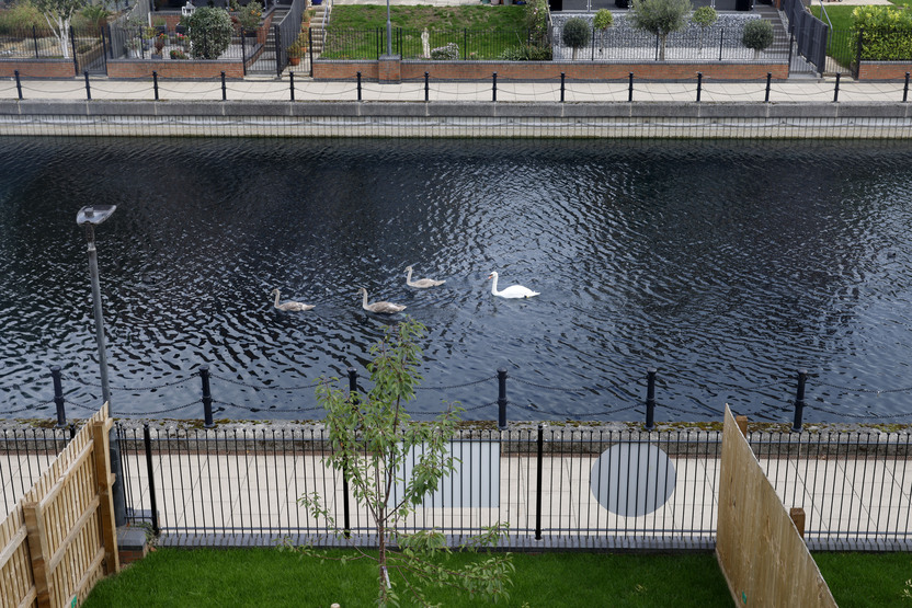 TWM_VistryBovis_021025_1028