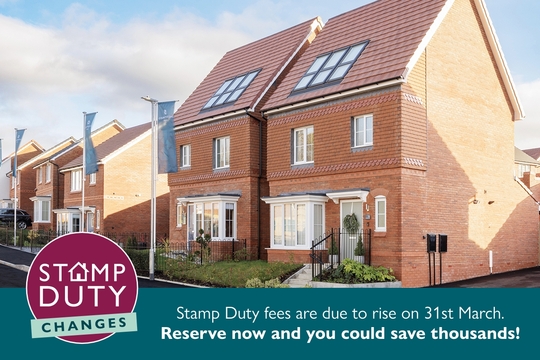 0487NOV_CalicoGrove_StampDuty_Corporate Web Banner