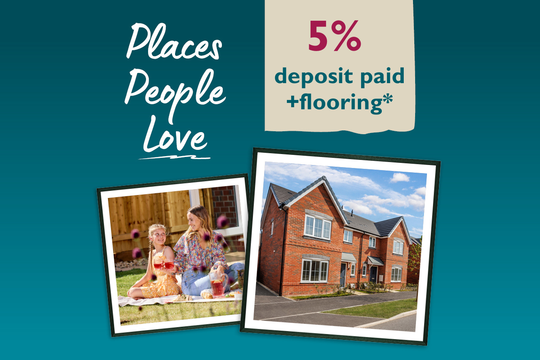 VDSW CH SGRANGE WEB HERO