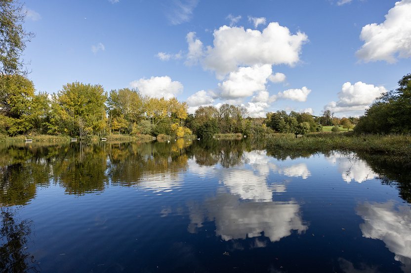 stanton_woods_02_web