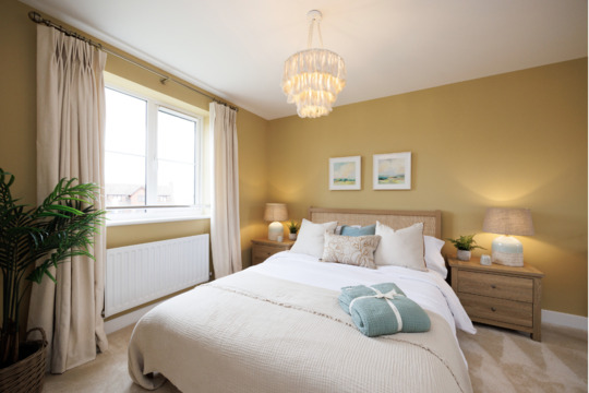 VDSW BH SPRUCE SH (5)