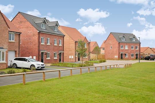 Wyatt_VIWY-MOW-20-0006