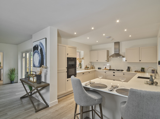 VISE-BROX-25-P32MAPLE-16