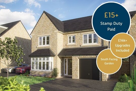 539 Alder - Spring Vale (5)