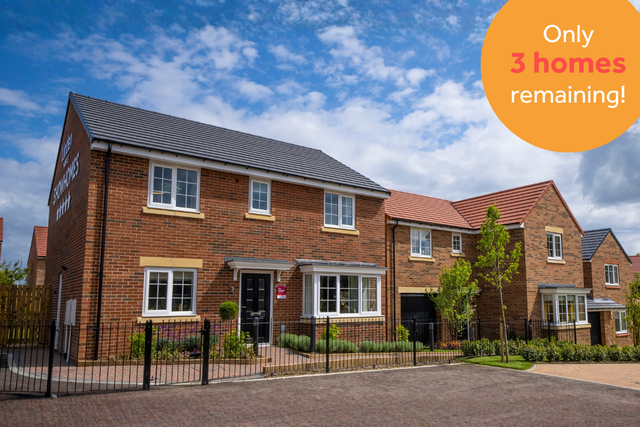 King Edwards Park March 2026