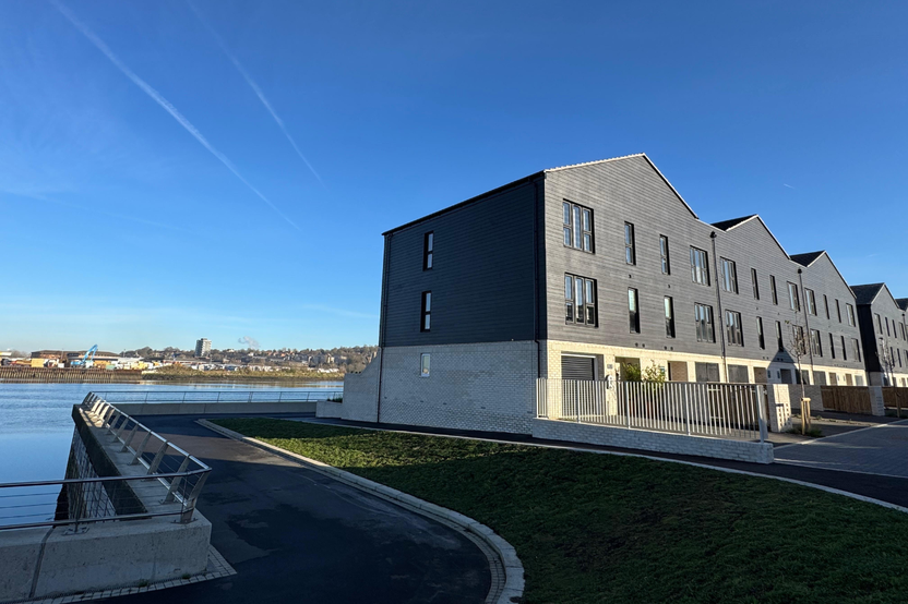 lapwings street scene