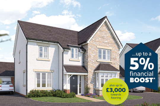 TT The Birch Plot 229 Q3 Refresher