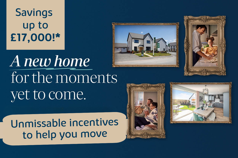 VDSW BH BVIEW WEB CAROUSEL