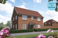 Home 31