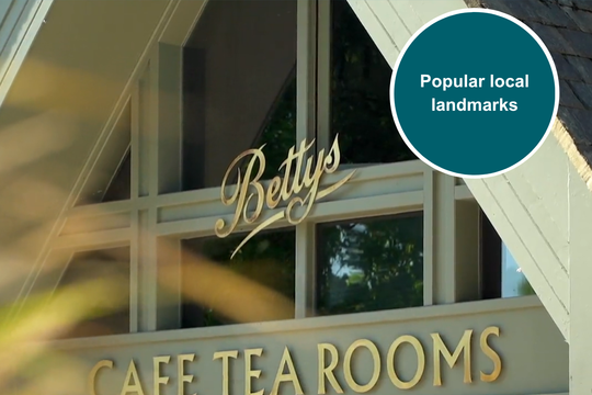 Bettys tea rooms web harrogate