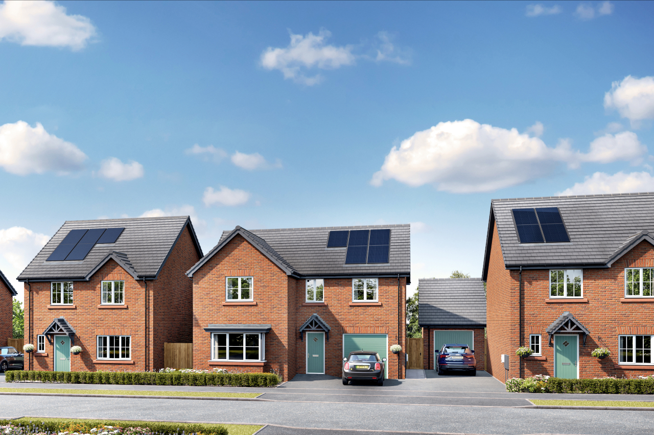 The Meadows - Whiston