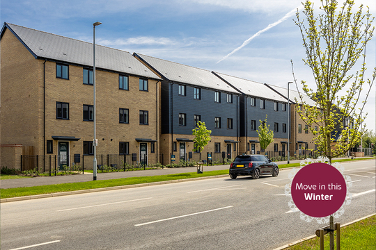 Haddon Green_Sage Home - Move In This Winter