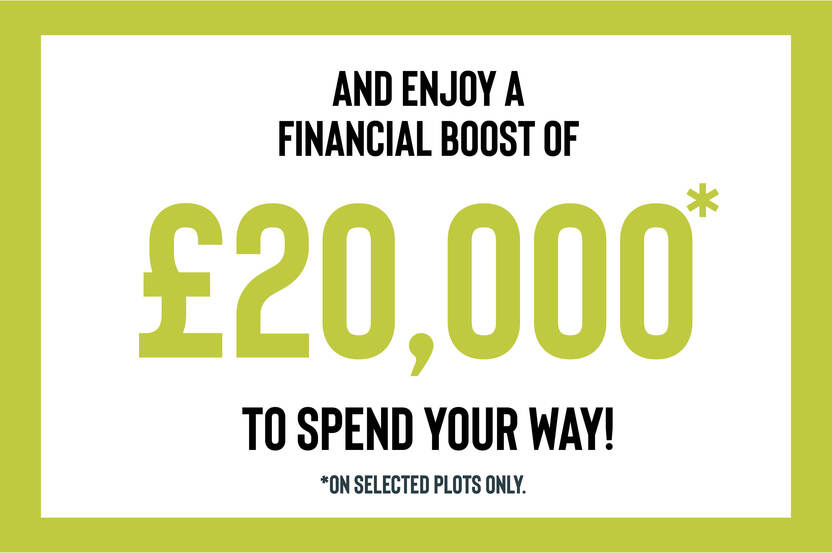 07110-04  Feature 17 - Q4 Campaign £20K to spend your way