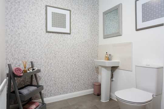 cypress_21 downstairs wc