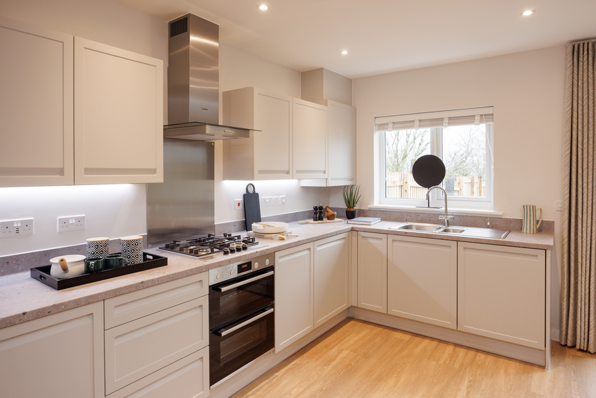 CP_Tors_SH_161223_16